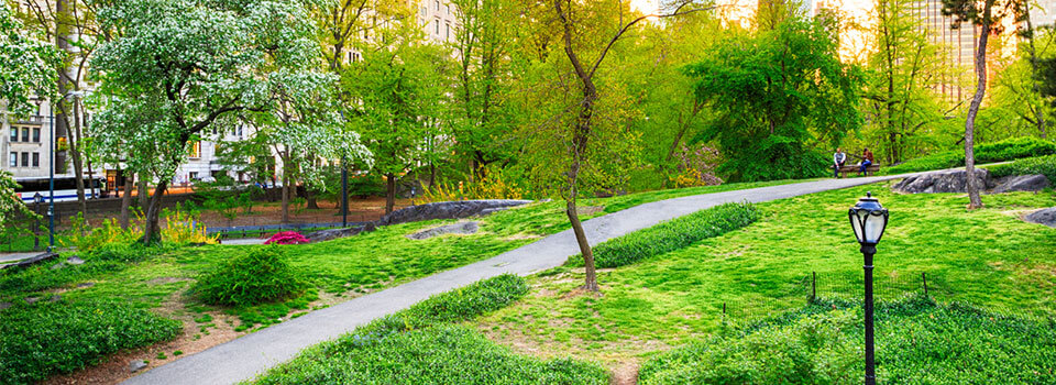 green space in New York City